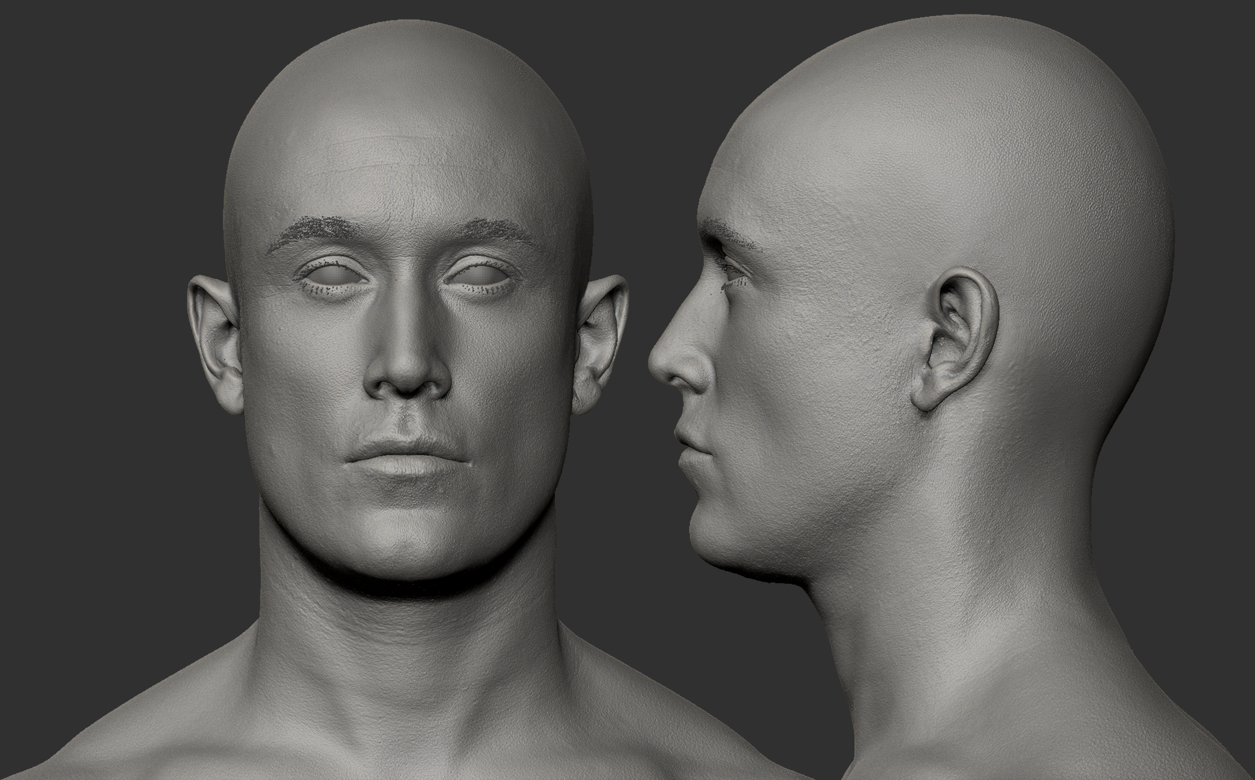 Male Zbrush capture